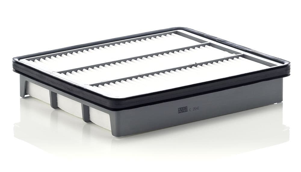 Filtru aer MANN-FILTER C 2542