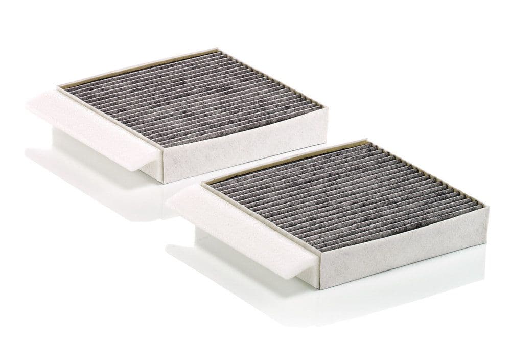Filtru, aer habitaclu MANN-FILTER CUK 25 034-2