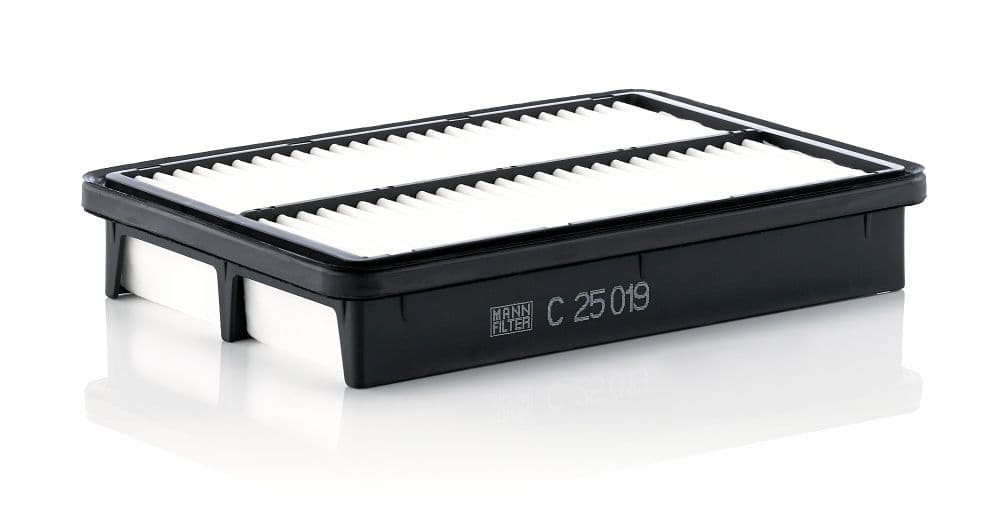Filtru aer MANN-FILTER C 25 019
