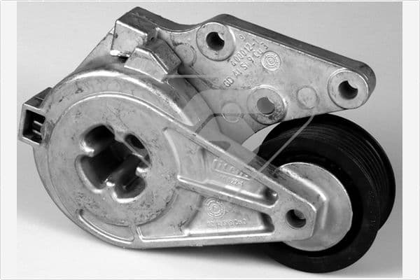 rola intinzator,curea transmisie HUTCHINSON T0263