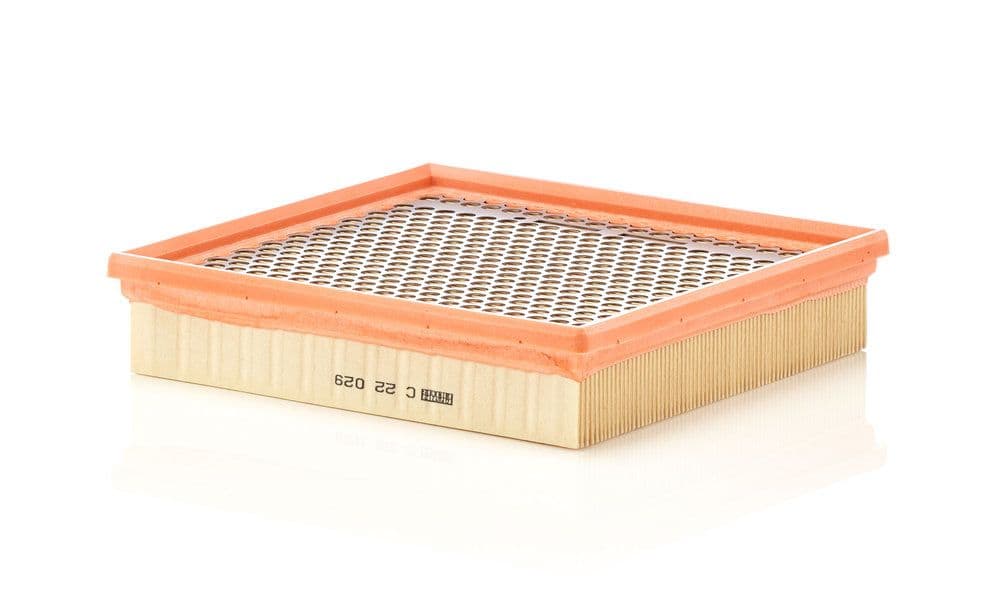Filtru aer MANN-FILTER C 22 029