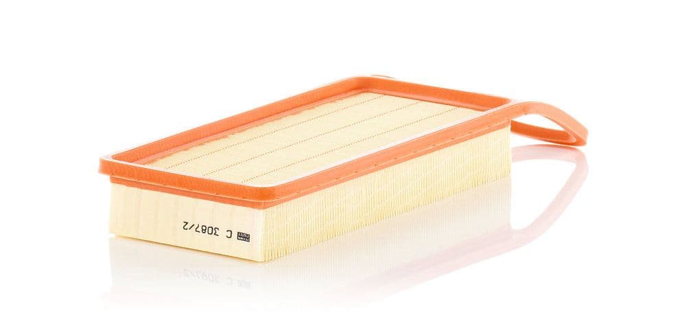 Filtru aer MANN-FILTER C 3087/2