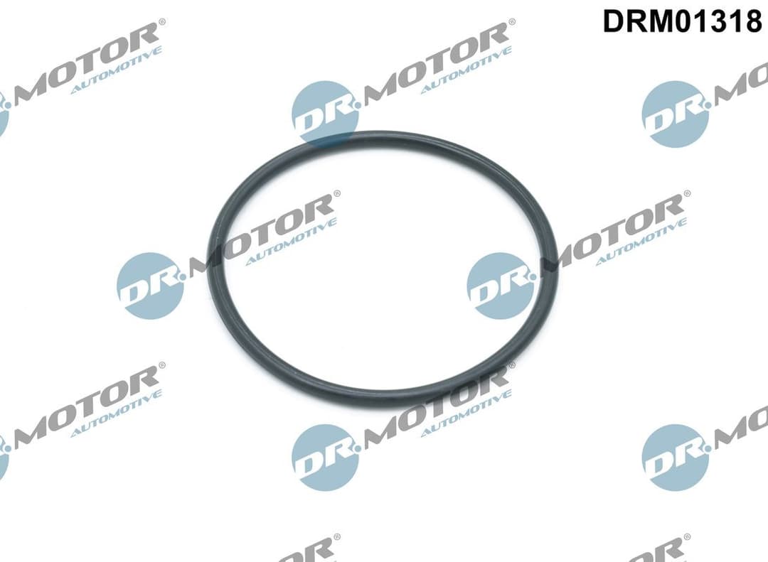 Garnituri, carcasa filtru ulei Dr.Motor Automotive DRM01318