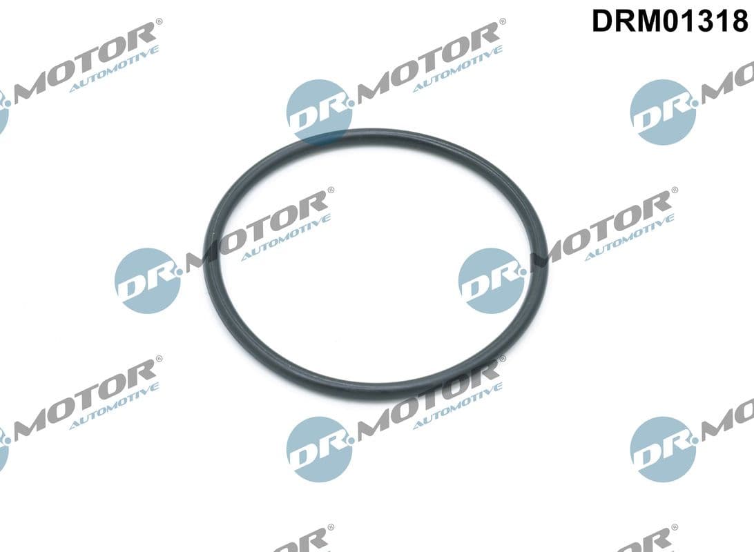 Garnituri, carcasa filtru ulei Dr.Motor Automotive DRM01318