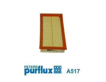 Filtru aer PURFLUX A517