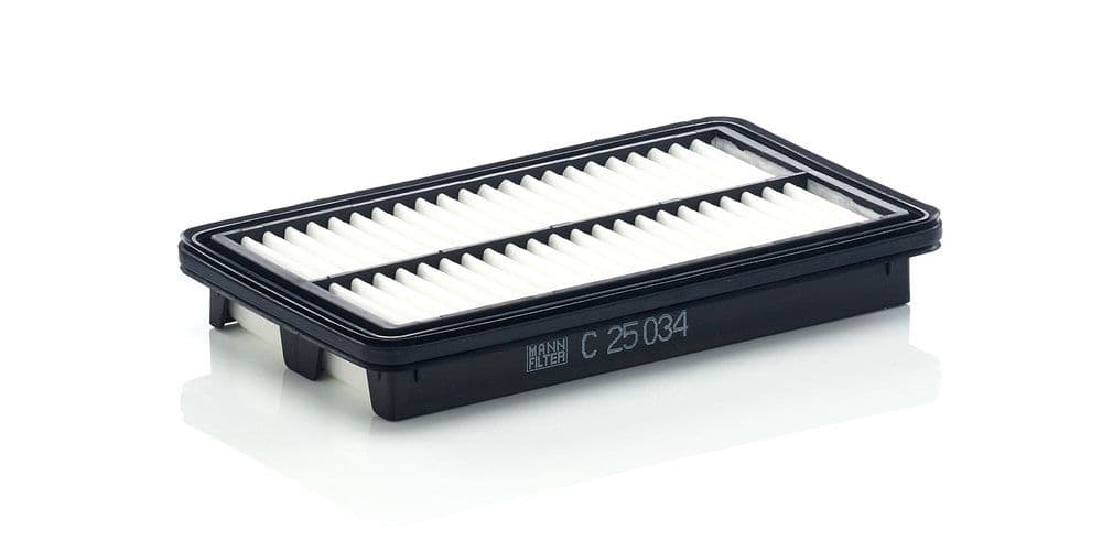 Filtru aer MANN-FILTER C 25 034