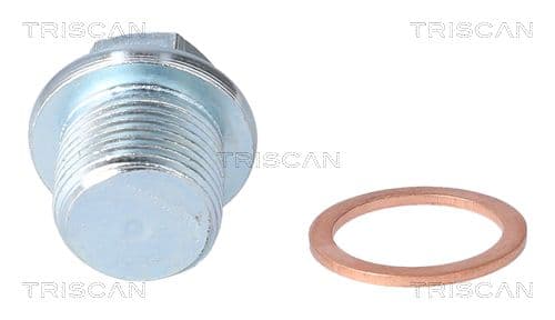 surub de golire,baia de ulei TRISCAN 9500 1022