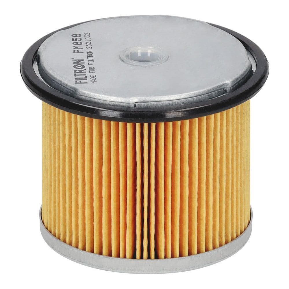 filtru combustibil FILTRON PM 858