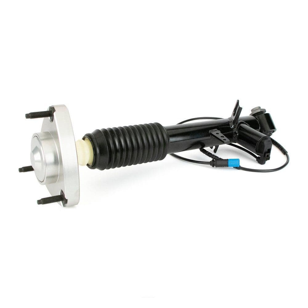 amortizor Arnott SK-3817