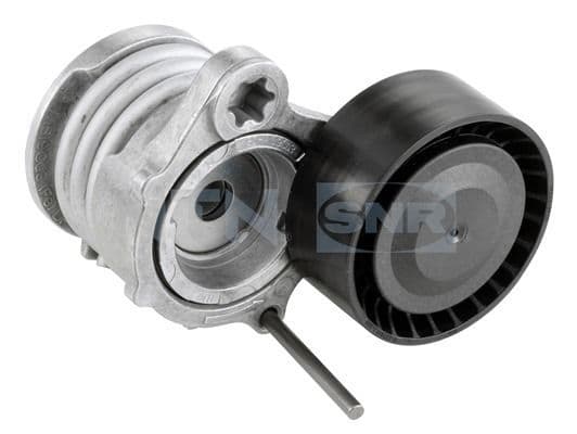 rola intinzator,curea transmisie SNR GA350.65