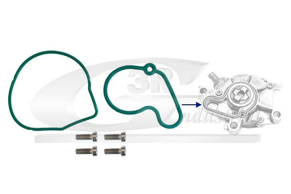 Set reparatie, pompa vacuum (Siste frana) 3RG 74708