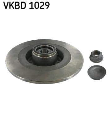 Disc frana SKF VKBD 1029