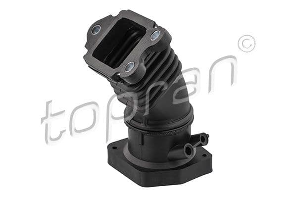 Palnie, filtru de aer TOPRAN 305 059