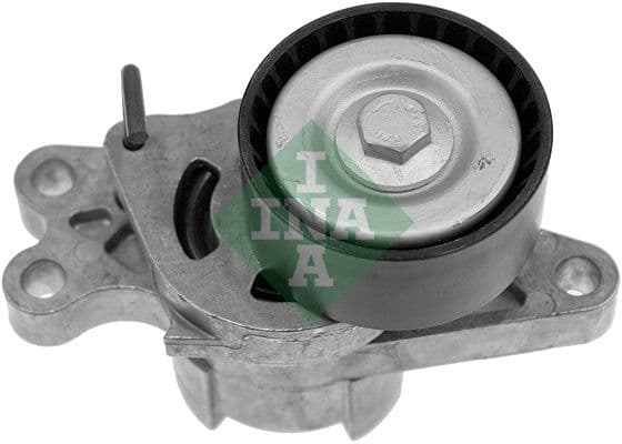 Intinzator curea, curea distributie Schaeffler INA 534 0179 10