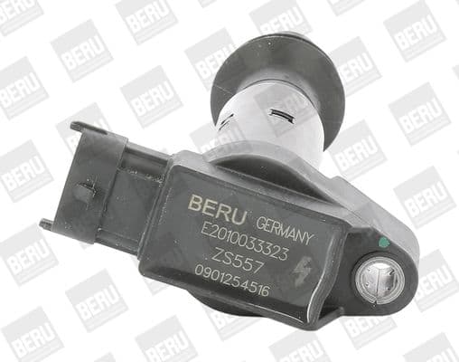 bobina de inductie BorgWarner (BERU) ZS557