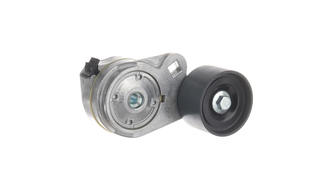 Intinzator curea, curea distributie SKF VKMCV 55006