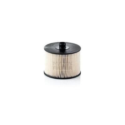 filtru combustibil MTR 12138338