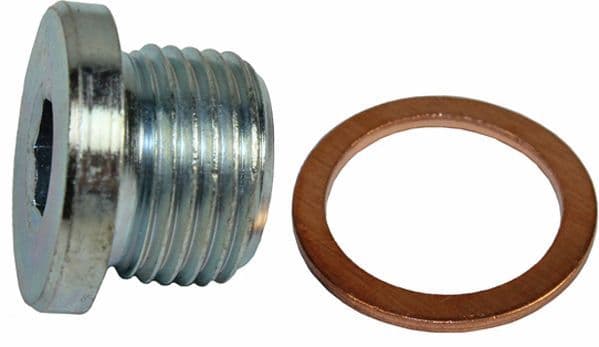 surub de golire,baia de ulei METZGER 8030005