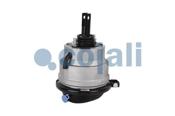 Cilindru receptor frana cu membrana COJALI 2851400