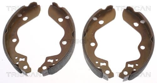 Set saboti frana TRISCAN 8100 69010