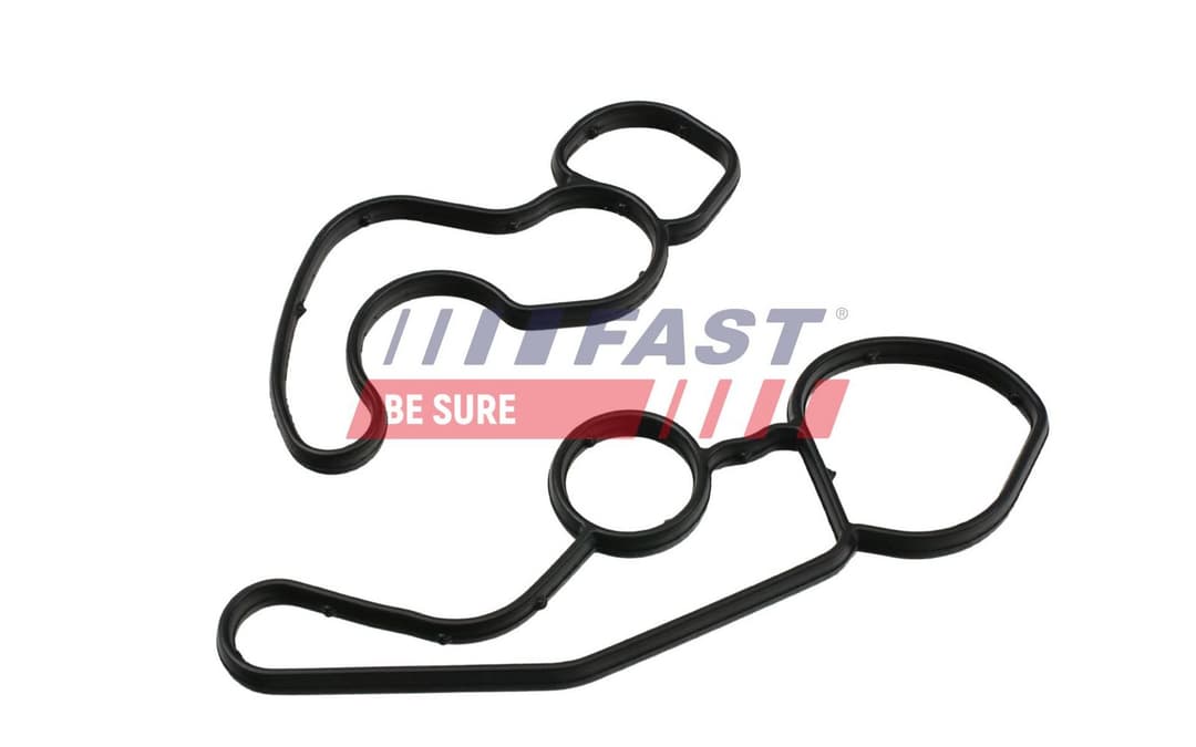 Inel de etanșare, radiator ulei (lubrifiere) FAST FT48961