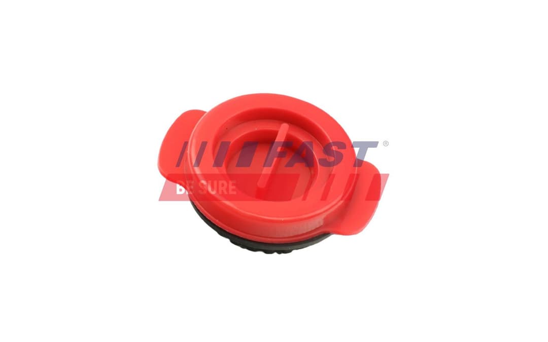 Etansare, pompa ulei FAST FT38802