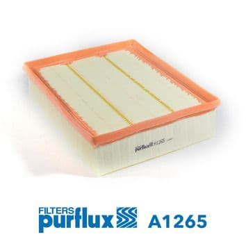 Filtru aer PURFLUX A1265