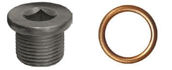 surub de golire,baia de ulei RESTAGRAF 221461