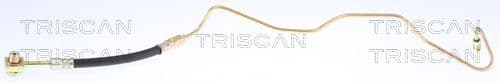 Furtun frana TRISCAN 8150 29269