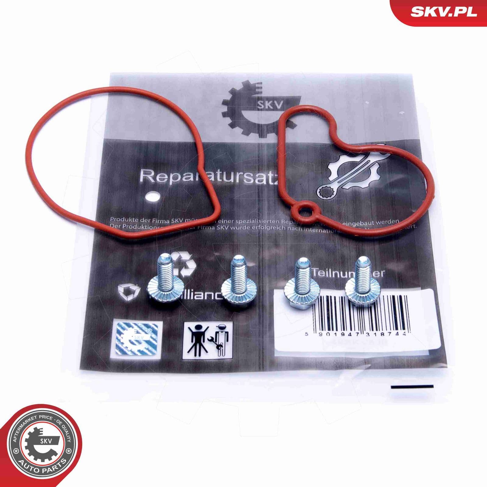 Set reparatie, pompa vacuum (Siste frana) ESEN SKV 18SKV807