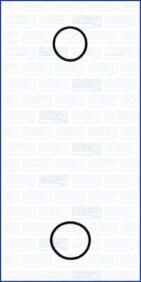 Set garnituri, pompa apa AJUSA 77001900