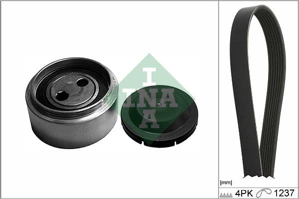 Set curea transmisie cu caneluri Schaeffler INA 529 0087 10