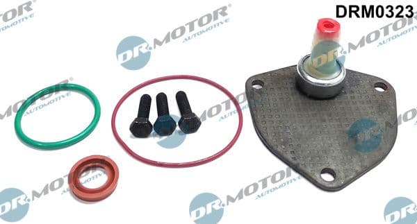 Set reparatie, pompa vacuum (Siste frana) Dr.Motor Automotive DRM0323