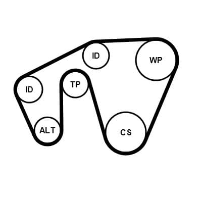Set curea transmisie cu caneluri CONTINENTAL CTAM 5PK1310K1