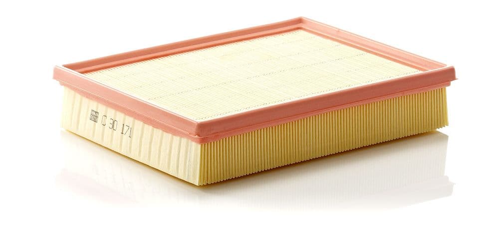 Filtru aer MANN-FILTER C 30 171
