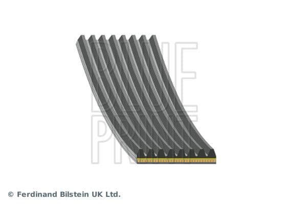 Curea transmisie cu caneluri BLUE PRINT AD08A1055