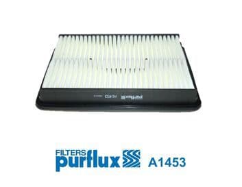 Filtru aer PURFLUX A1453