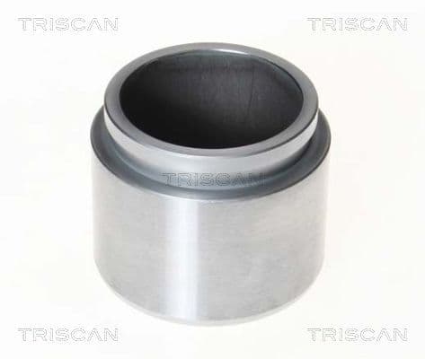 Piston, etrier frana TRISCAN 8170 232143
