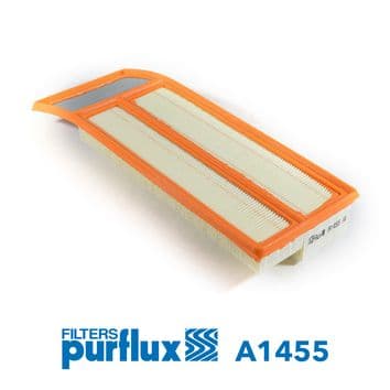Filtru aer PURFLUX A1455