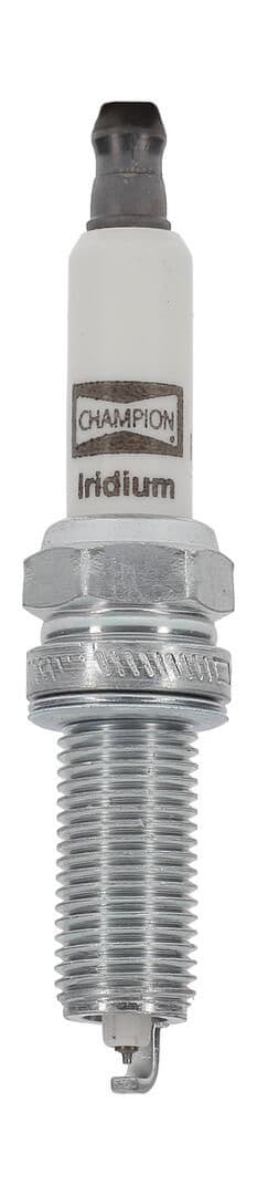 Bujie CHAMPION CCH9408