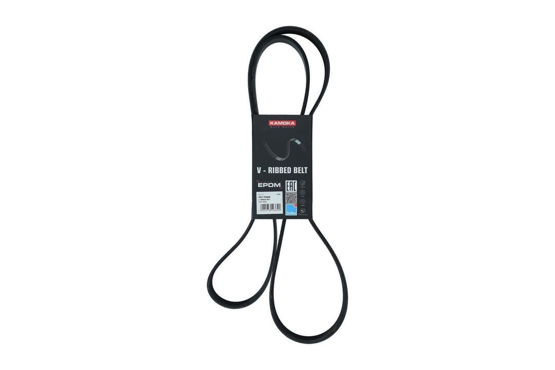 Curea transmisie cu caneluri KAMOKA 7017032