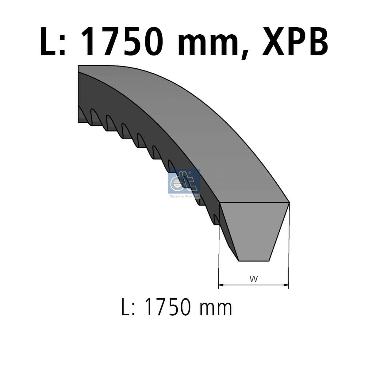 Curea transmisie DT Spare Parts 4.80648