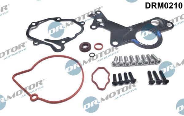 Set reparatie, pompa vacuum (Siste frana) Dr.Motor Automotive DRM0210