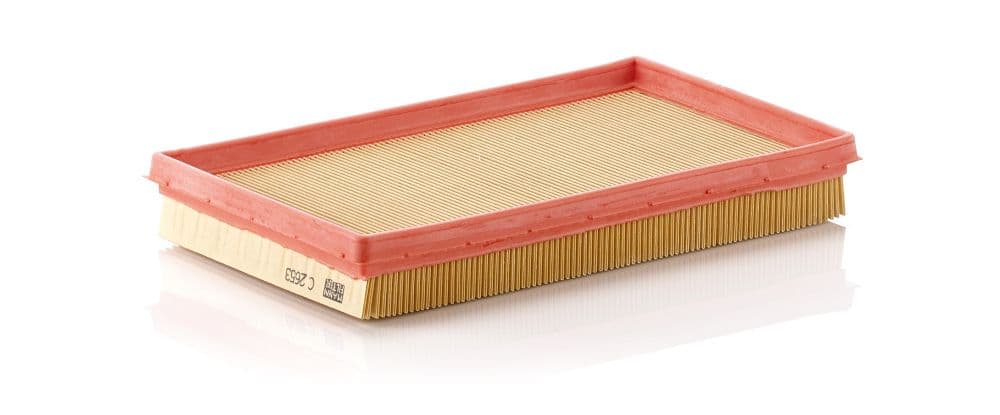 Filtru aer MANN-FILTER C 2653
