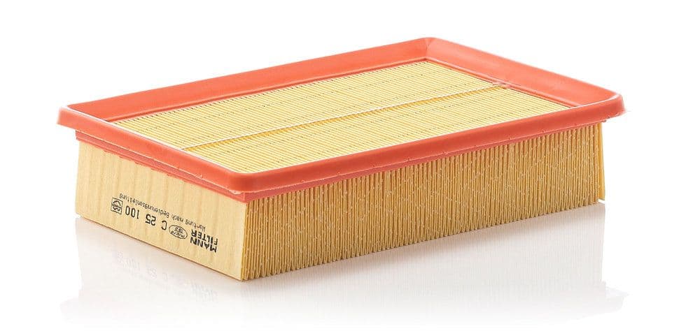 Filtru aer MANN-FILTER C 25 100