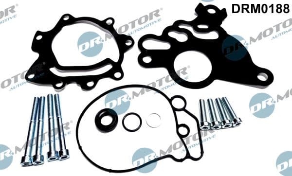 Set reparatie, pompa vacuum (Siste frana) Dr.Motor Automotive DRM0188