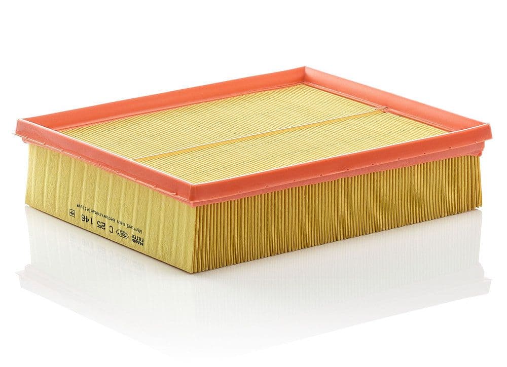 Filtru aer MANN-FILTER C 25 146