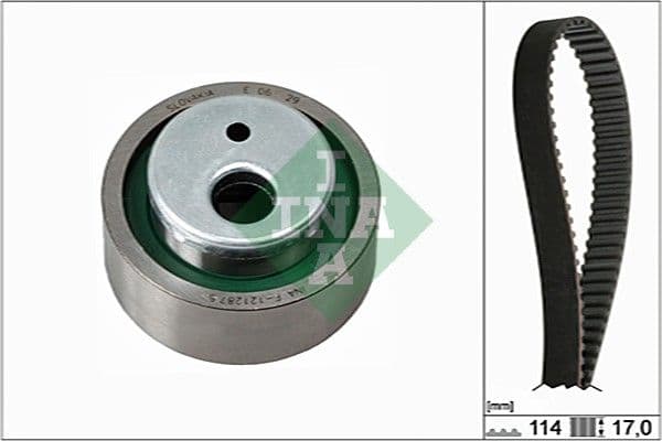 Set curea de distributie Schaeffler INA 530 0258 10