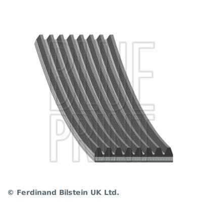 Curea transmisie cu caneluri BLUE PRINT AD08R1295