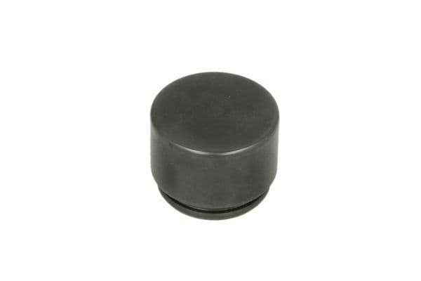 Piston, etrier frana CQ CQ71362922
